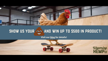 Win $500 for Showing Us Your Shit (No, Really.)