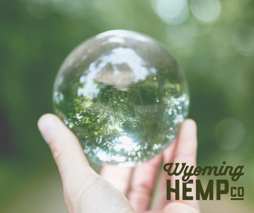 The Hemp-Driven Economy: A Third Option for America's Future