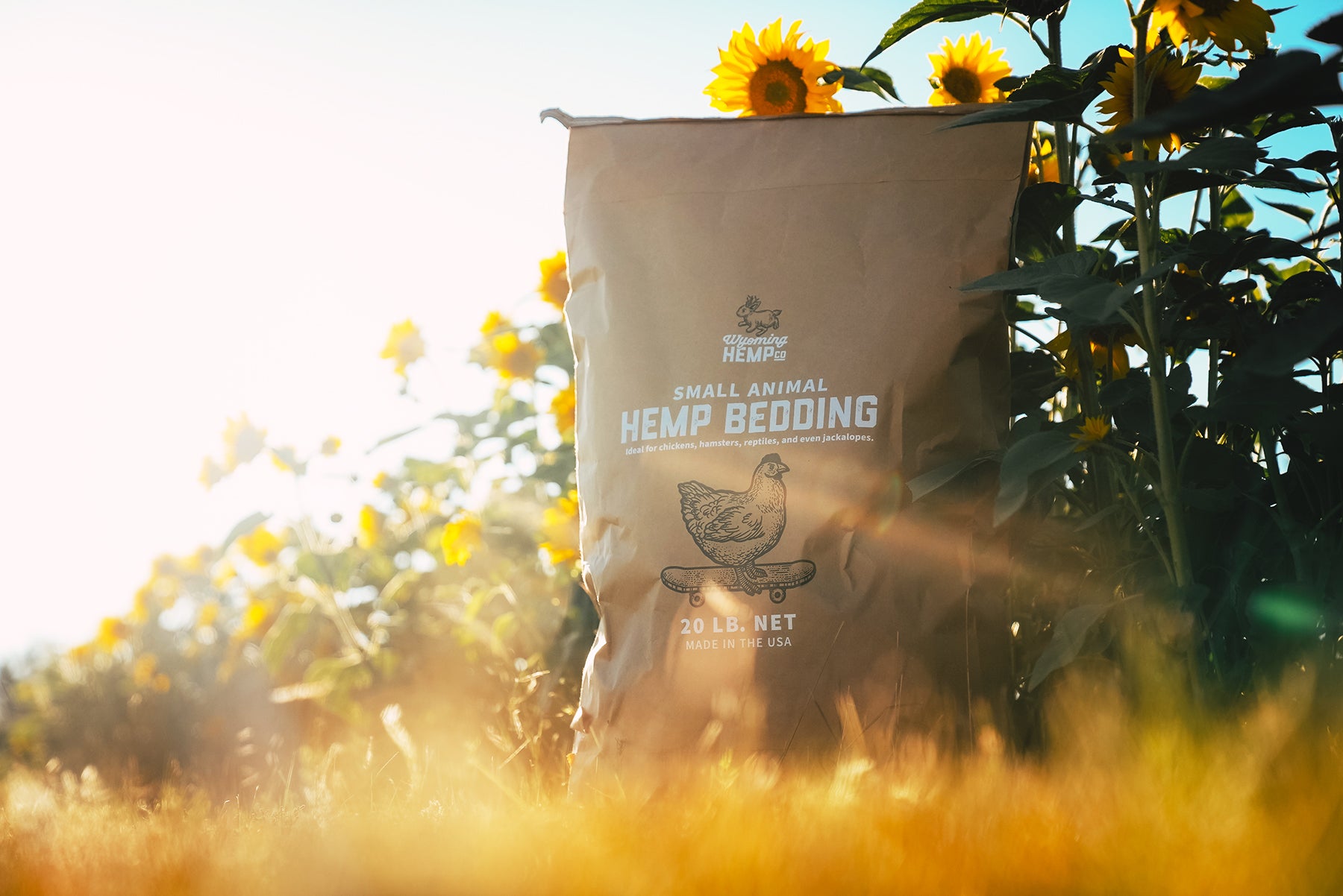 Wyoming Hemp Company - Rooted in Wyoming's Rich Soil