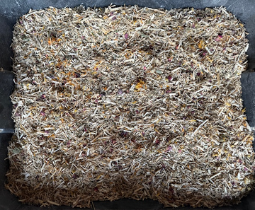 Berta’s Success Story: A Wyoming Hemp Company Customer’s Secret to Happy, Healthy Chickens