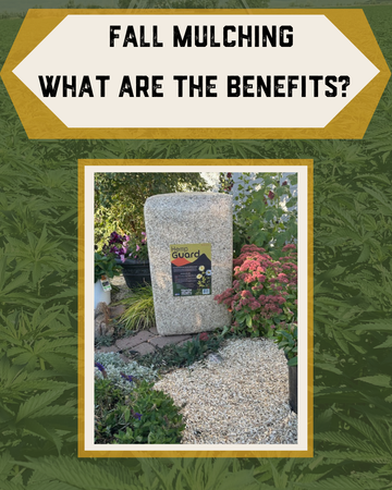 Fall Mulching: What are the Benefits?