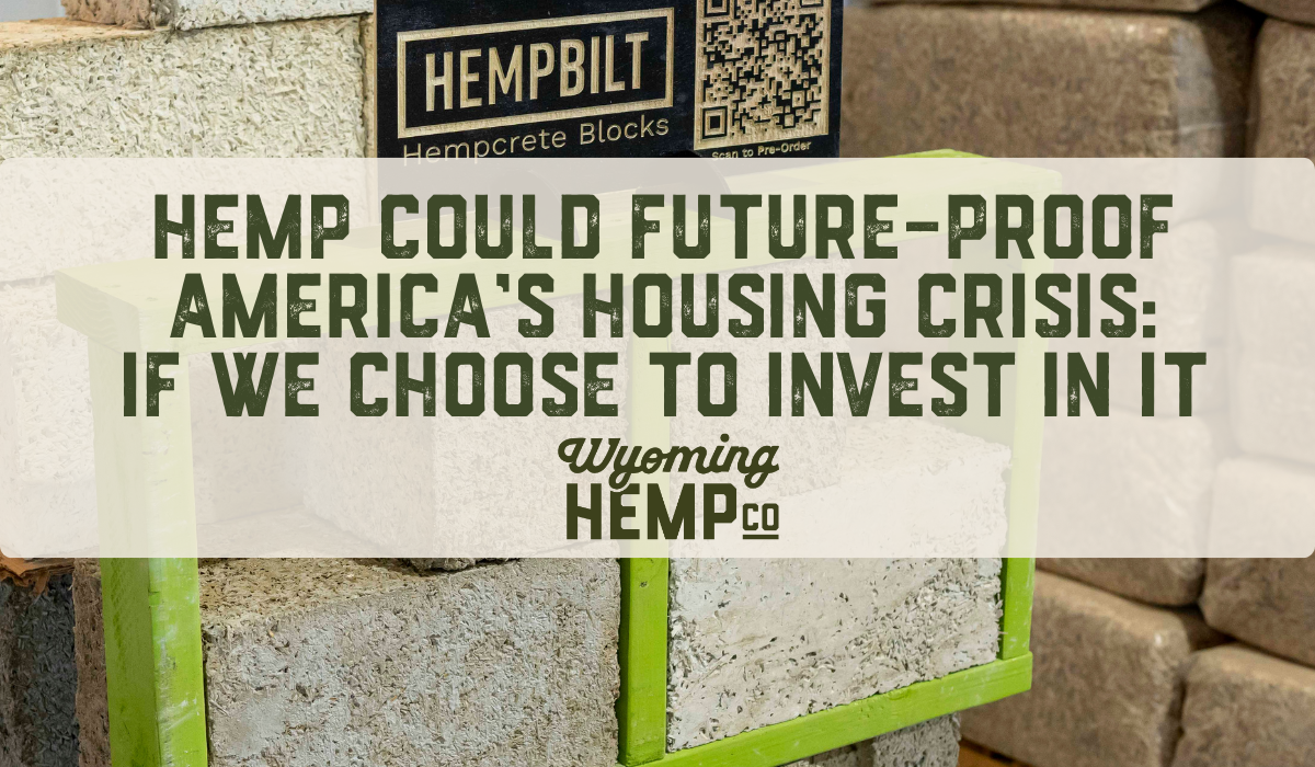 Hemp Could Future-Proof America’s Housing Crisis: If We Choose to Invest in It
