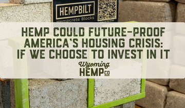 Hemp Could Future-Proof America’s Housing Crisis: If We Choose to Invest in It