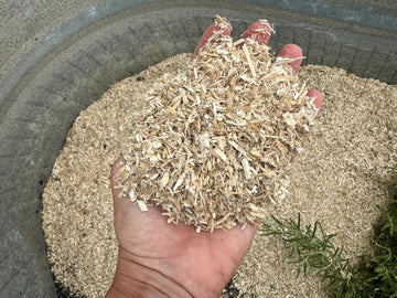 Cleaner Air, Healthier Animals: Why Low-Dust Bedding Matters