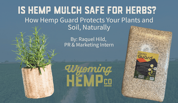 Is Hemp Mulch Safe for Herbs? How Hemp Guard Protects Your Plants and Soil, Naturally