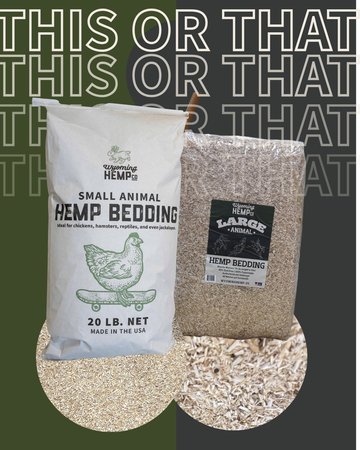 What Type of Bedding Fits Your Needs?