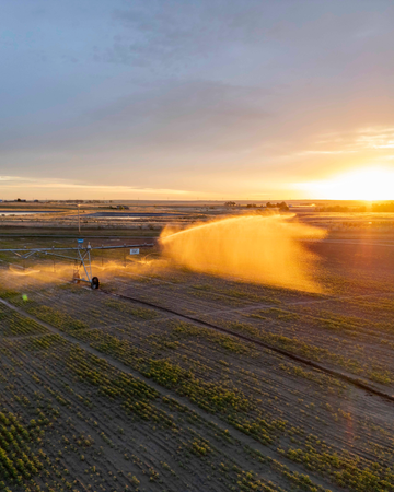 Hemp Farming in the Drought-Stricken West: A Water-Wise Crop for the Future of Agriculture