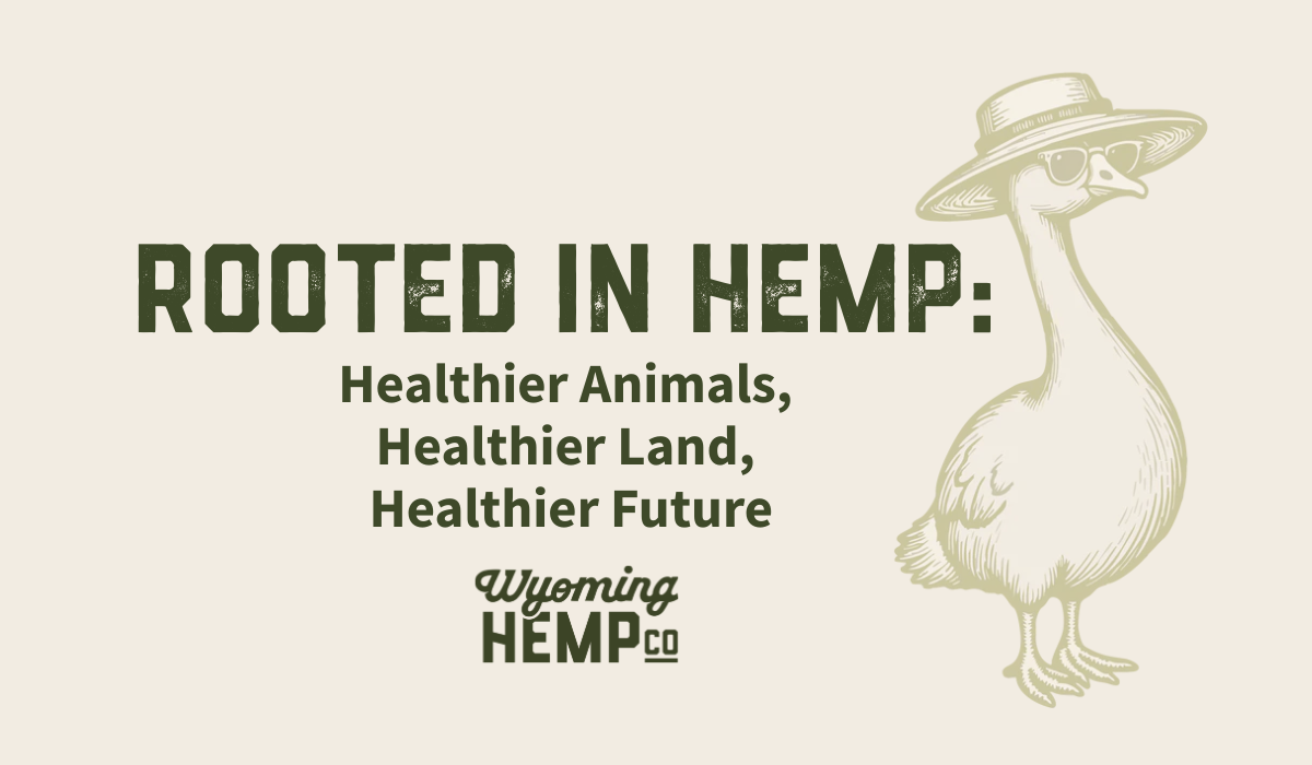 Rooted in Hemp: Healthier Animals, Healthier Land, Healthier Future ...