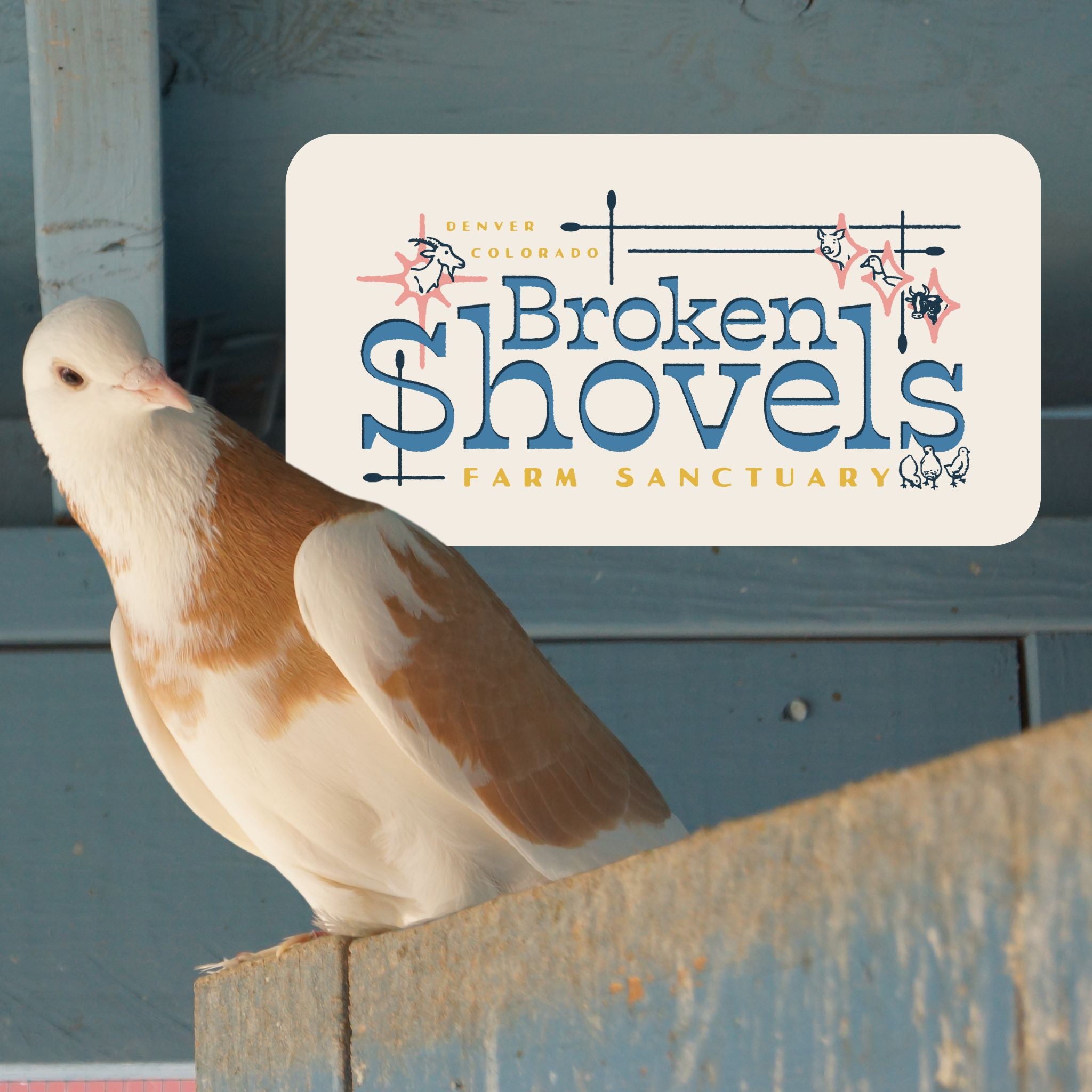 Broken Shovels Fundraiser - Small Animal Hemp Bedding