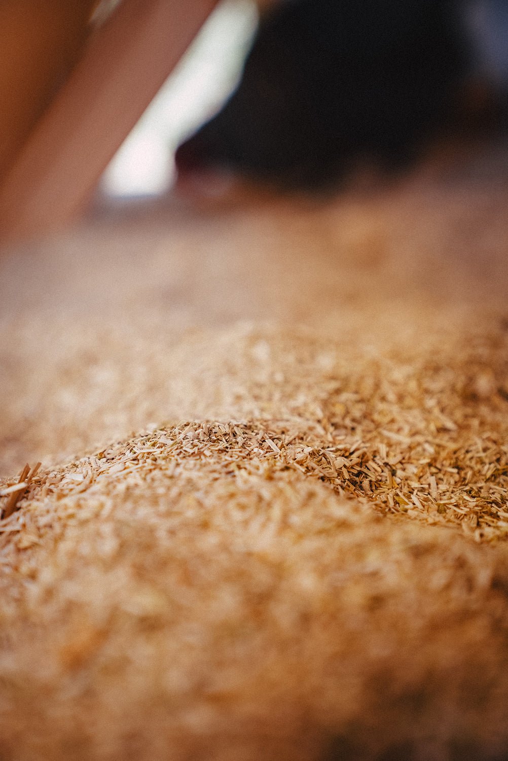 Bulk Small Animal Bedding: Request a Quote - Wyoming Hemp Company